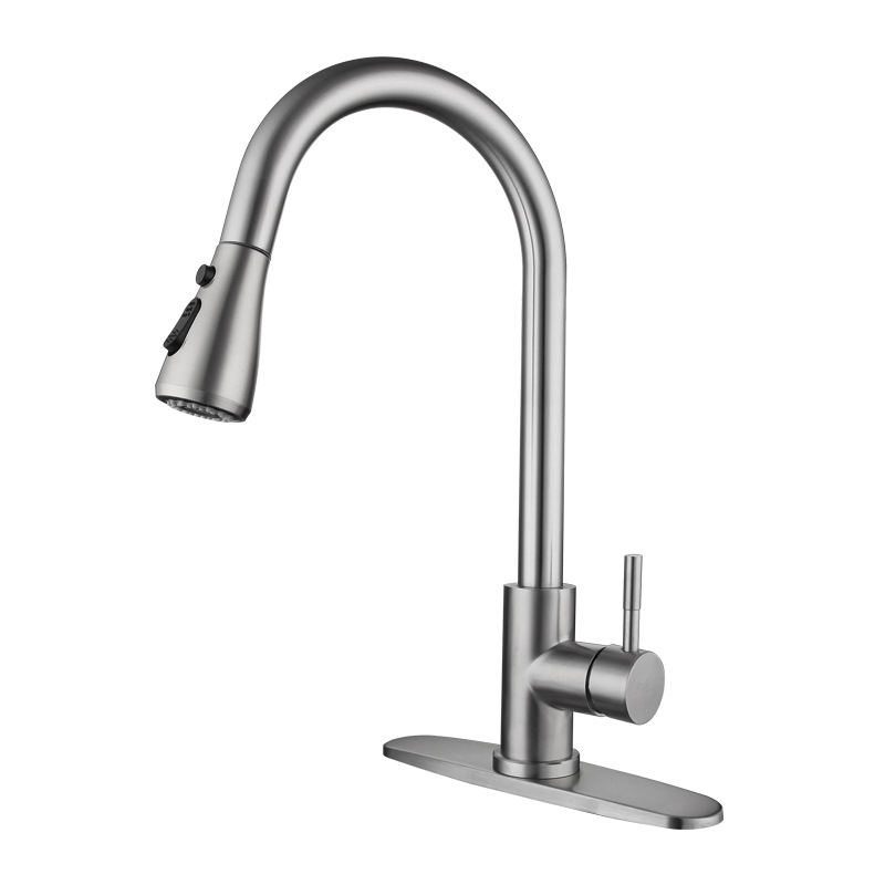 kitchen pull down faucet